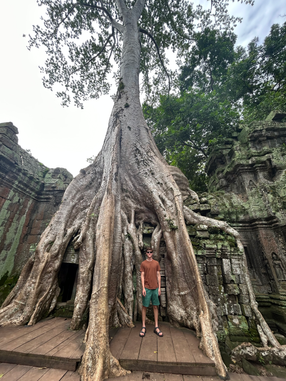 Angkor Temple (Ta Prohm)