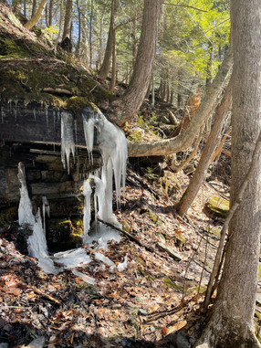 Salmon River Falls