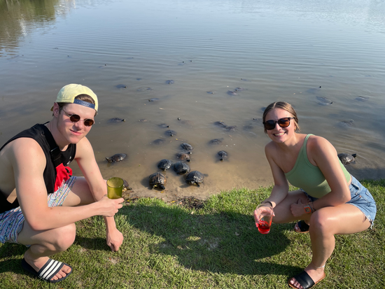 Turtle Cove