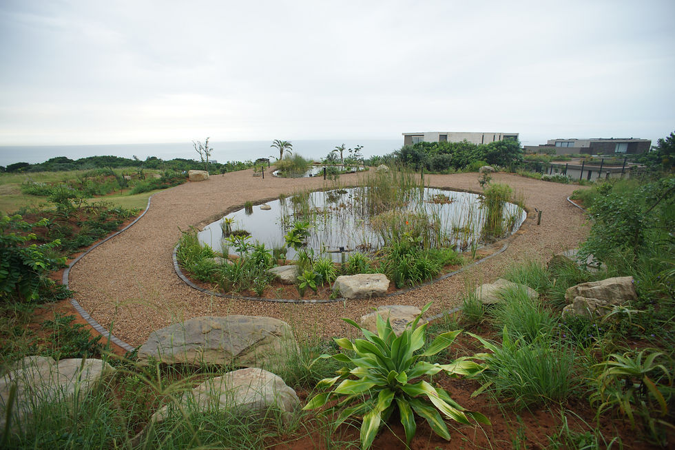 04-2025_Signature Estate Landscaping Photos_12