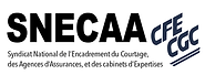 Capture d’écran 2021-07-06 à 08.03.52.png
