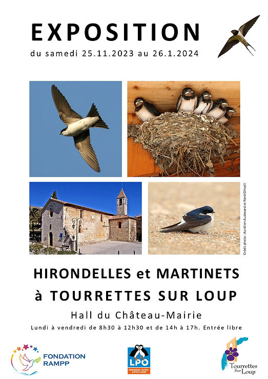 affiche expo hirondelles A4.jpg