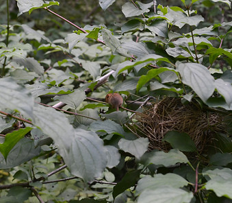 DSC_0784_edited.jpg