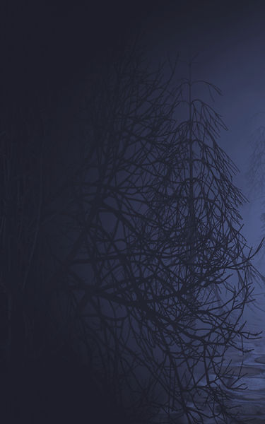 AdobeStock_175440571_resized_edited_edit