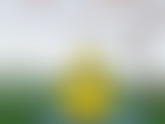 Att stå i livets lerpölar