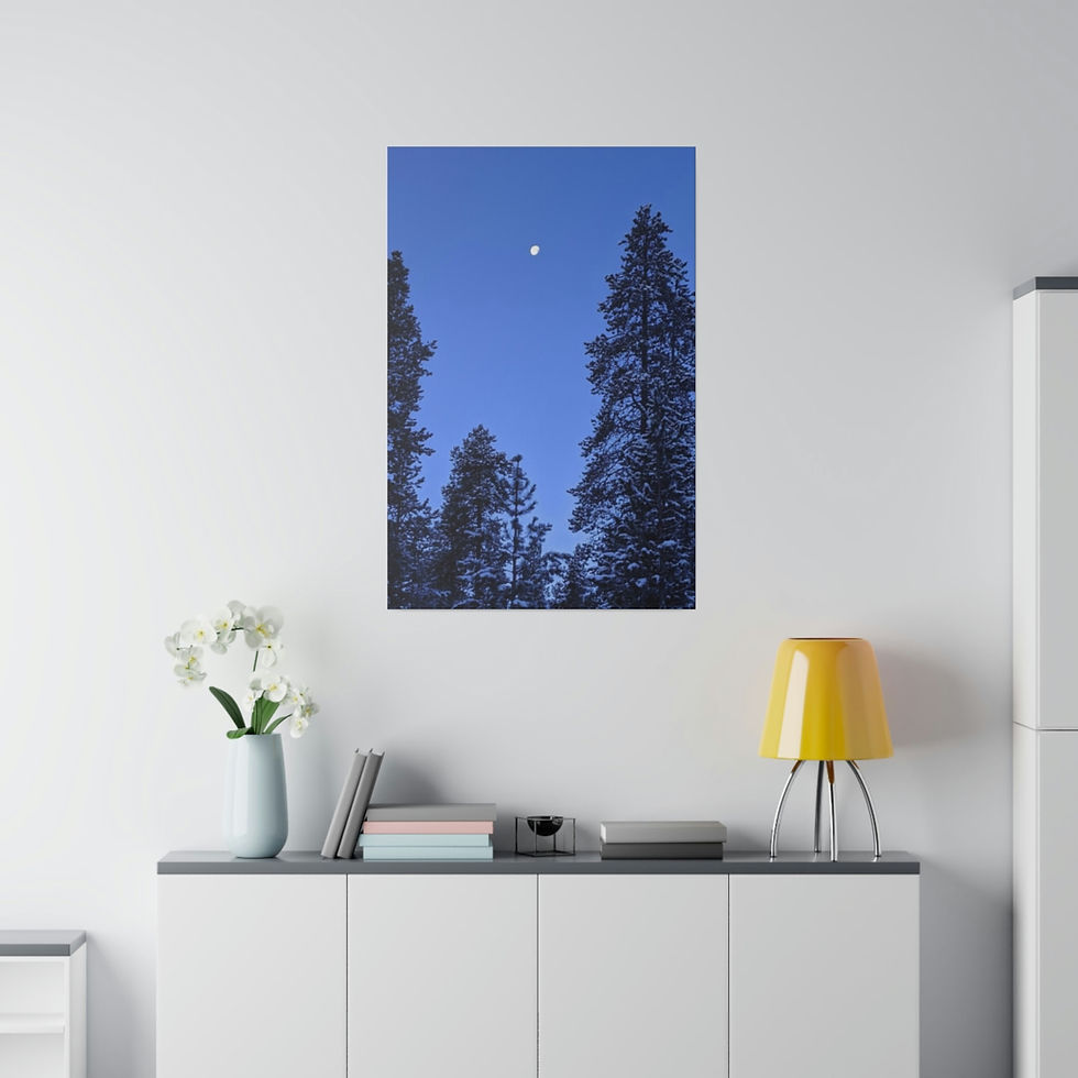 Thumbnail: Full Moon Over Deschutes Pines   .75 width