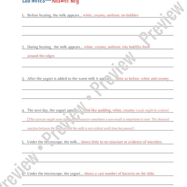 Making and Analyzing Yogurt Investigating Bacteria Under a Microscope