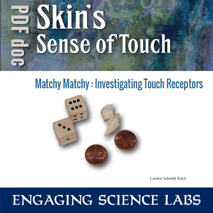 Nerves Study: Sense of Touch Investigation