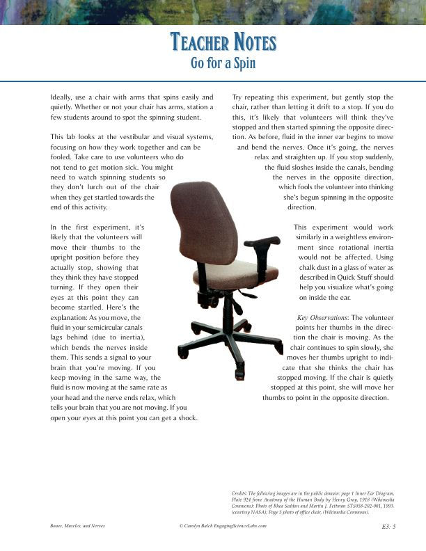 Thumbnail: Stimulus and Response Lab: Investigating Different Eye Reflexes