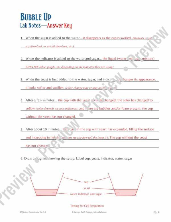 Thumbnail: Cellular Respiration Lab for Middle School: A Controlled Experiment