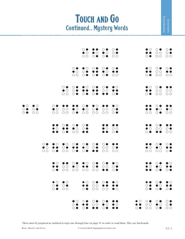 Thumbnail: Nerves Study: Sense of Touch Study Using Braille