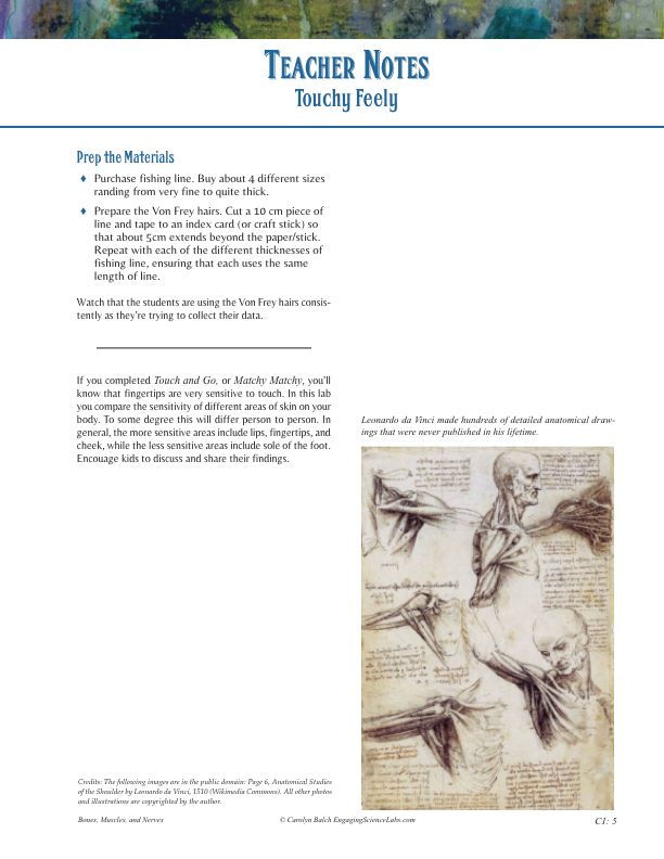 Thumbnail: Nerves Study: Sense of Touch, Finding Your Detection Threshold