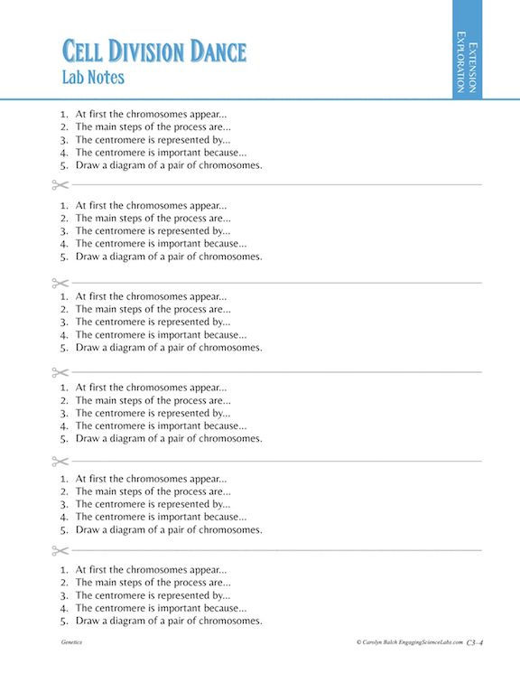 Thumbnail: Mitosis and Meiosis Lab Activity—A Cell Division Dance