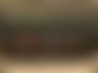 Daniel Almeida recebe chineses para tratar de investimentos no Brasil