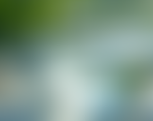 Understanding Nutritional Lithium and Its Role in Mood Stabilization