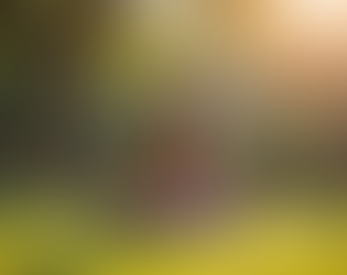 Harnessing the Power of Mind-Body Connection and Neuroplasticity for Lasting Change