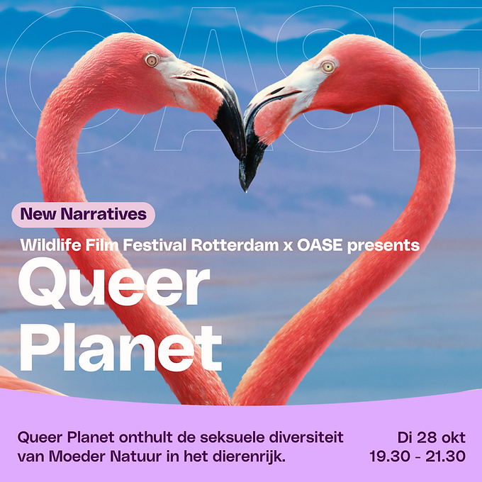 WFFR x OASE presents: Queer Planet