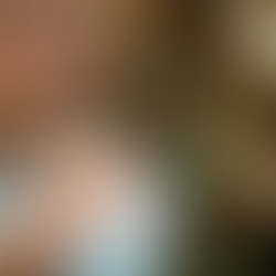 Er komt een dierentuin op Zuid 