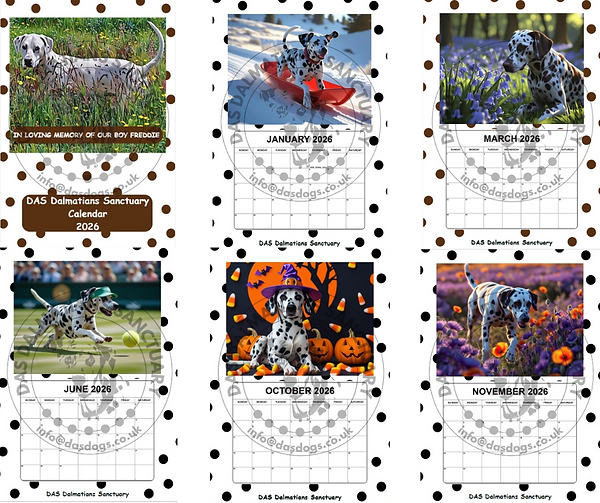 DAS Dalmatians Sanctuary Calendars 2026 NOW AVAILABLE TO PRE ORDER (4).png