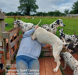 236409078_4229603497134807_8035673403225