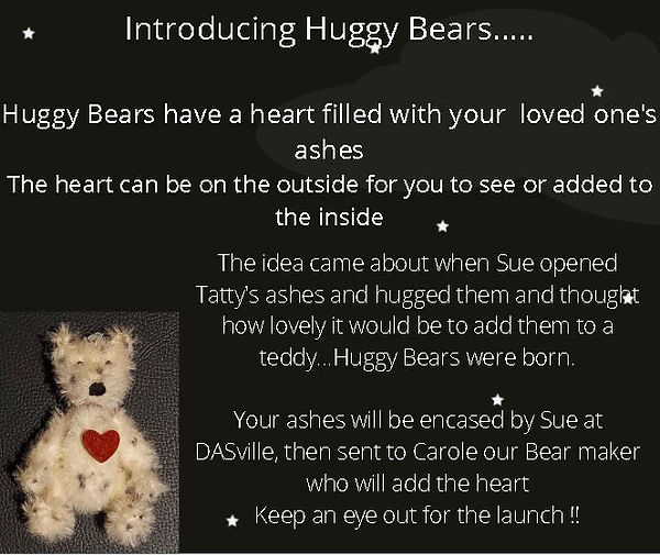 bears