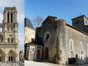 NOTRE-DAME... L'ARBRE QUI CACHE LA FORET !