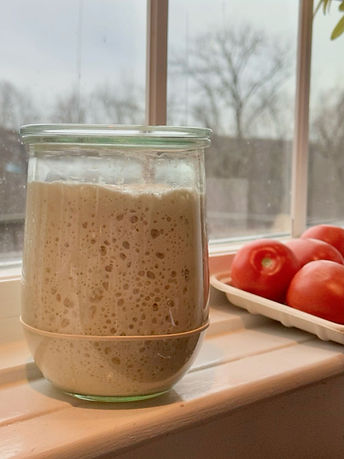 SourdoughStarter.JPG