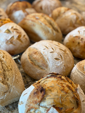 Sourdough Artisan Loaves