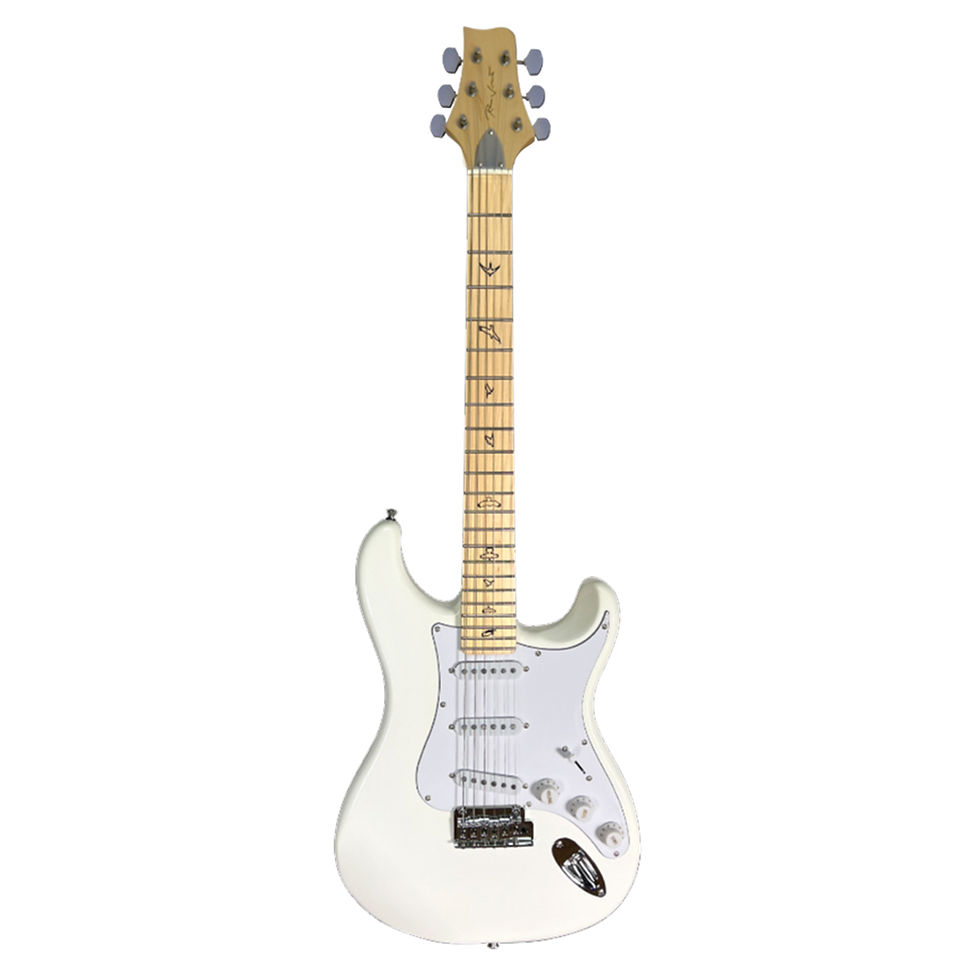 RJ Professional - Vibecaster Alnico Pickup - (Frost White)