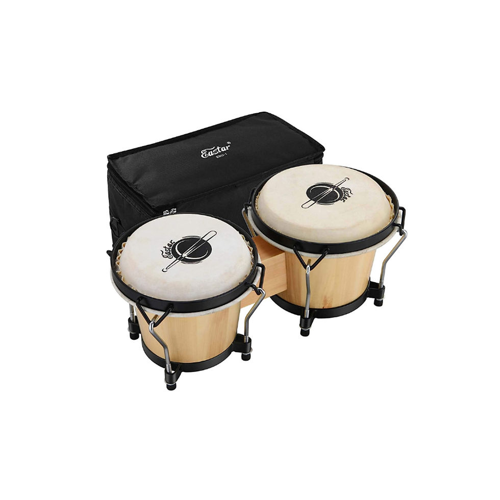 Eastar EBO-1 Bongo Drums Wood Metal