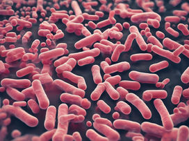 Keeping Your Facility Safe: The Importance of Professional Cleaning