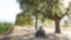 beb281ef-b0d4-451a-84fd-d5cd53c88259-banner.jpg