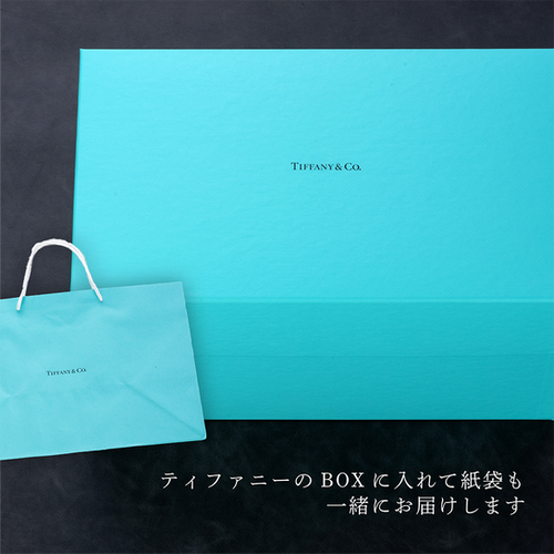Tiffany & Co. カラーブロックヴィドポシェ