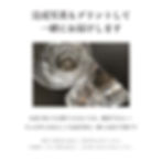 サムネイル： 名入れ代込,18-8,ワインクーラー,ステンレス,名入れ,彫刻,刻印,ギフト,プレゼント,開店,誕生日,記念日,記念品,お祝い,ノベルティ,人気,業務用,飲食店,ホテル,バー,クラブ,ロゴ,まとめ買い,プロ,ボトルクーラー,人気,シルバー