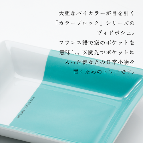 Tiffany & Co. ティファニー ヴィド ポシェ TIFFANY&Co. 新品 ティファニー TIFFANY&CO. メタリック ヴィド