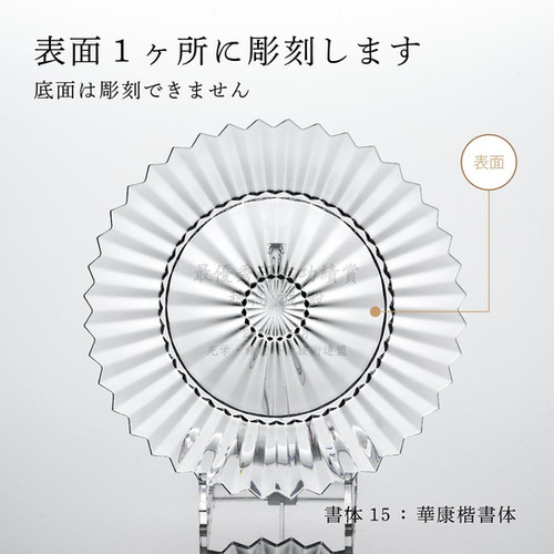 名入れ代込】バカラ ミルニュイ プレート 26cm ペア |法人様の記念品に