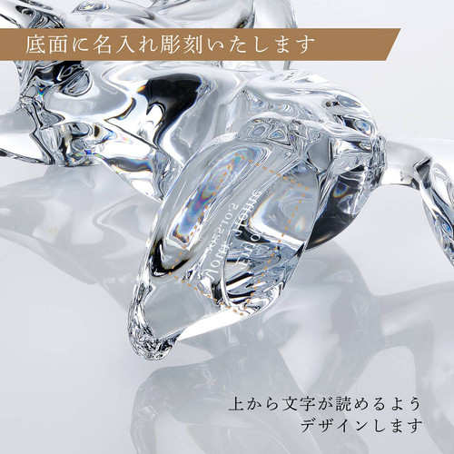 Baccarat いななく馬　専用ボックス付き Baccarat バカラ いななく馬 名入れ彫刻代込み | Baccaratonlyshop