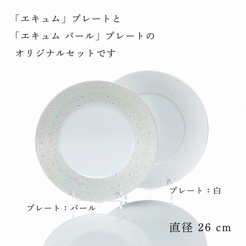 BERNARDAUD ベルナルド エキュム ディナープレート・エキュム