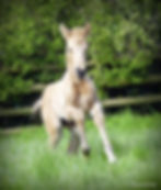 7-_2100181_edited_edited_edited