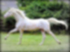 image_edited
