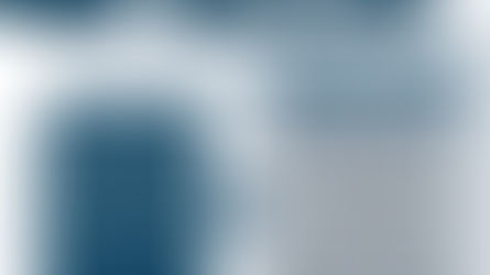 The verification Process