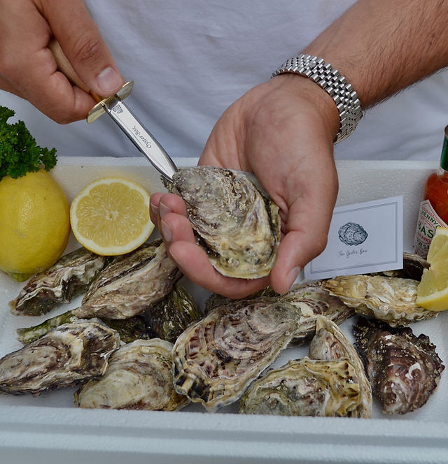 Dew token Wide range fresh oysters delivered to your door caustic Shine Mobilize