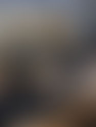 2015(平成27)年度 明耀山光行寺 秋季彼岸会法要を修行