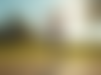 Stretching Techniques for Optimal Body Wellness