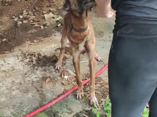 KARMA - Novembre 2022