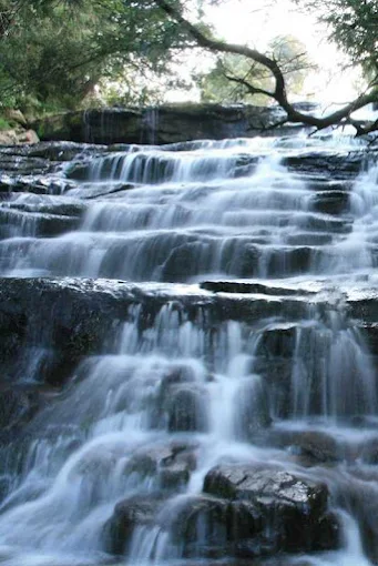 Bear Shola Falls, Places to Visit in Kodaikanal, Things to do in Kodaikanal, Best Places to Visit Kodaikanal in 1 Day, Places to Visit in Kodaikanal in 2 Days, Places to Visit in Kodaikanal in 3 Days, Places to Visit in Kodaikanal with Family, Viewpoints in Kodaikanal, Top Things to See in Kodaikanal, sama farms