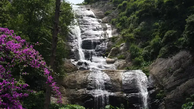 Bear Shola Falls, Places to Visit in Kodaikanal, Things to do in Kodaikanal, Best Places to Visit Kodaikanal in 1 Day, Places to Visit in Kodaikanal in 2 Days, Places to Visit in Kodaikanal in 3 Days, Places to Visit in Kodaikanal with Family, Viewpoints in Kodaikanal, Top Things to See in Kodaikanal, sama farms