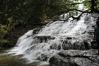 Vattakanal Waterfalls, Places to Visit in Kodaikanal, Things to do in Kodaikanal, Best Places to Visit Kodaikanal in 1 Day, Places to Visit in Kodaikanal in 2 Days, Places to Visit in Kodaikanal in 3 Days, Places to Visit in Kodaikanal with Family, Viewpoints in Kodaikanal, Top Things to See in Kodaikanal, sama farms