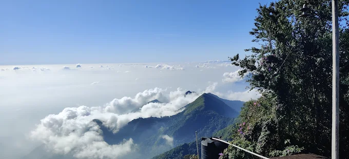 Coaker's walk, Places to Visit in Kodaikanal, Things to do in Kodaikanal, Best Places to Visit Kodaikanal in 1 Day, Places to Visit in Kodaikanal in 2 Days, Places to Visit in Kodaikanal in 3 Days, Places to Visit in Kodaikanal with Family, Viewpoints in Kodaikanal, Top Things to See in Kodaikanal, sama farms