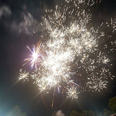 IMG_5866.jpg